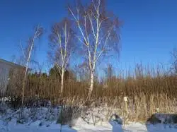 Zdjęcie 1