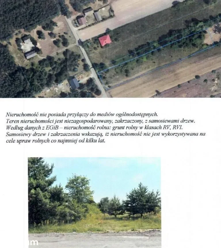 Grunty Gąbin — zdjęcie 1