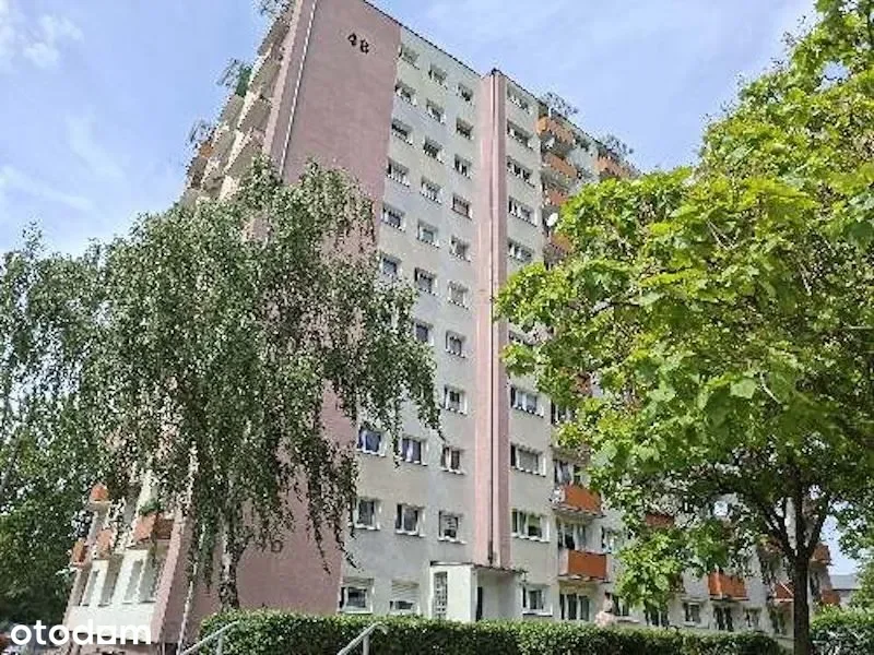 Zdjęcie 1