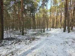 Grunty Radomsko — zdjęcie 1