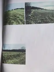 Zdjęcie 1