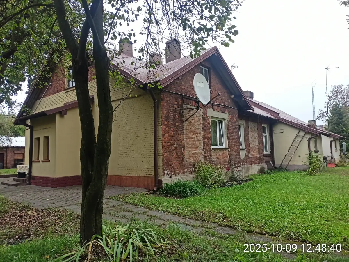 Zdjęcie 1