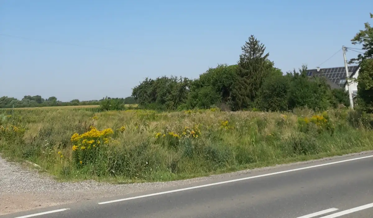 Zdjęcie 1