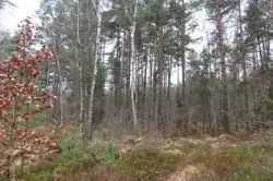 Zdjęcie 1