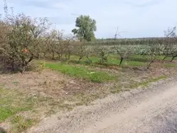 Zdjęcie 1