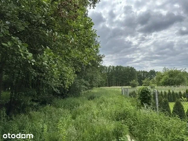 Grunty Kobylanka — zdjęcie 6