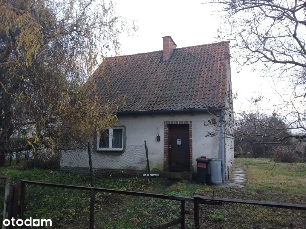 Zdjęcie 1