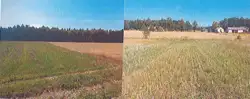 Zdjęcie 1