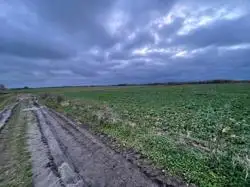 Zdjęcie 1