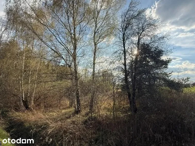 Działki Łazy — zdjęcie 3