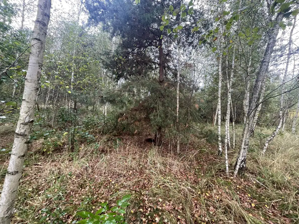 Grunty Wilków — zdjęcie 2