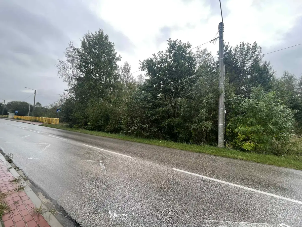 Grunty Wilków — zdjęcie 5