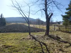 Zdjęcie 1