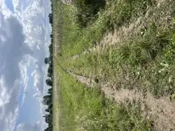 Grunty Wojciechów — zdjęcie 1