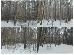 Zdjęcie 1