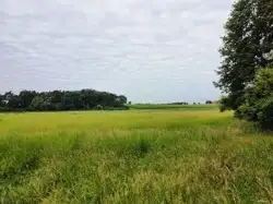 Zdjęcie 1