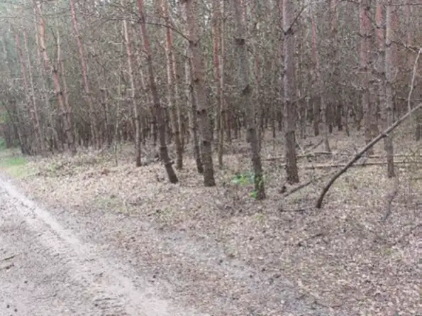 Grunty Sufczyce — zdjęcie 1