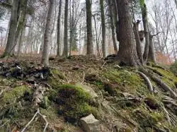 Grunty Przyborów — zdjęcie 1