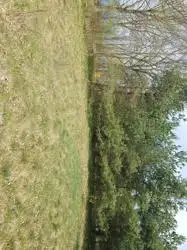 Zdjęcie 1