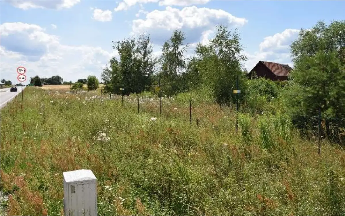 Działki Brzezie — zdjęcie 1