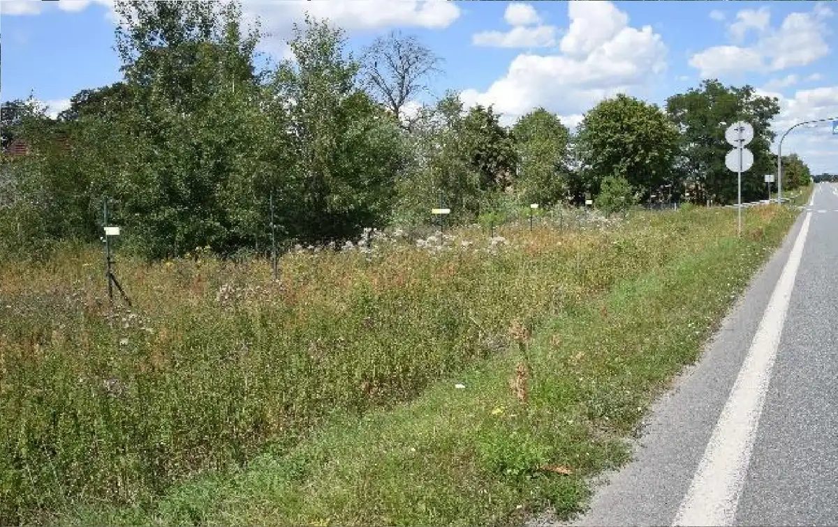 Działki Brzezie — zdjęcie 3