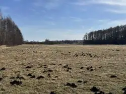 Grunty Bielsk Podlaski — zdjęcie 1