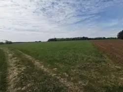 Grunty Suwałki — zdjęcie 1