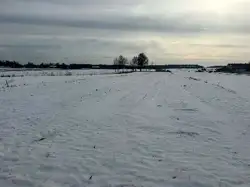 Zdjęcie 1