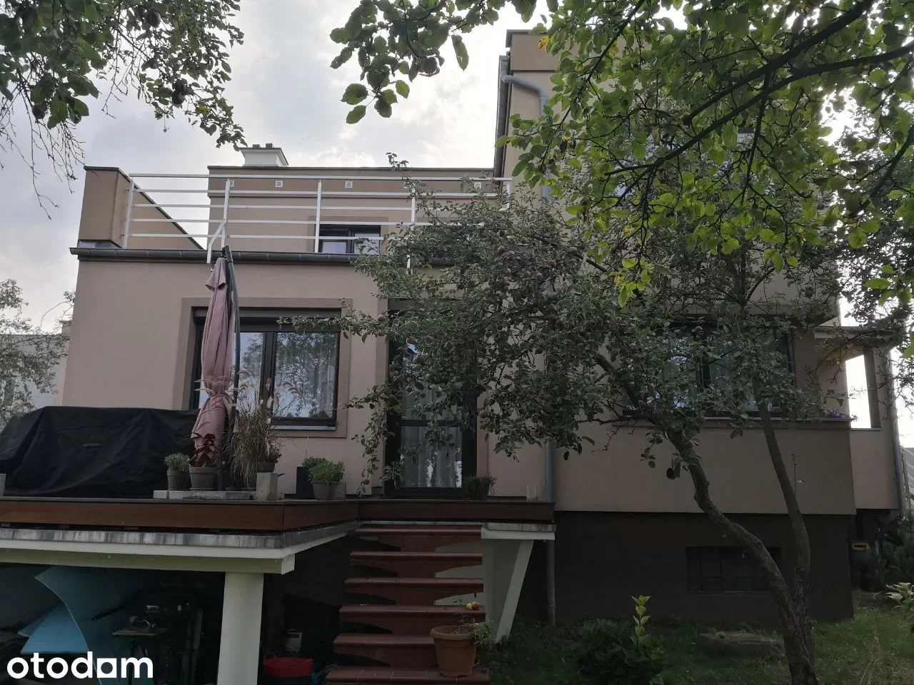 Zdjęcie 1