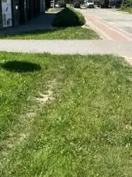 Zdjęcie 1