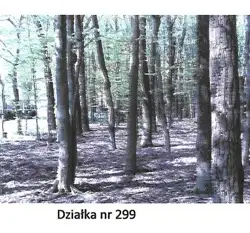 Grunty Krasnystaw — zdjęcie 1