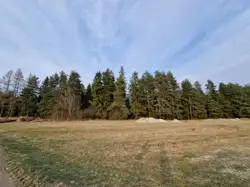 Zdjęcie 1