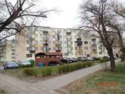 Zdjęcie 1