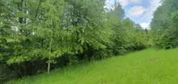 Inne nieruchomości Maków Podhalański — zdjęcie 1