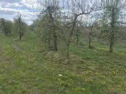 Działki Sandomierz — zdjęcie 1