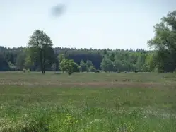 Grunty Radomsko — zdjęcie 1