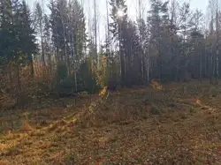 Zdjęcie 1