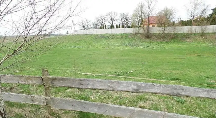 Zdjęcie 1
