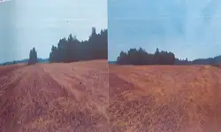 Zdjęcie 1
