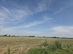 Działki Wąbrzeźno — zdjęcie 1