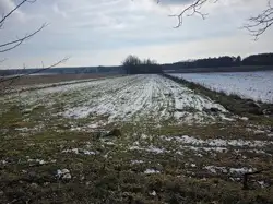 Zdjęcie 1