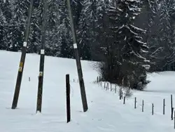 Zdjęcie 1