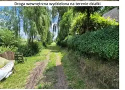 Zdjęcie 1