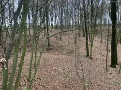 Grunty Kraśnik — zdjęcie 1