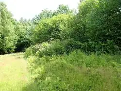 Grunty Brzozów — zdjęcie 1