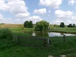 Działki Wólka Kraśniczyńska — zdjęcie 1