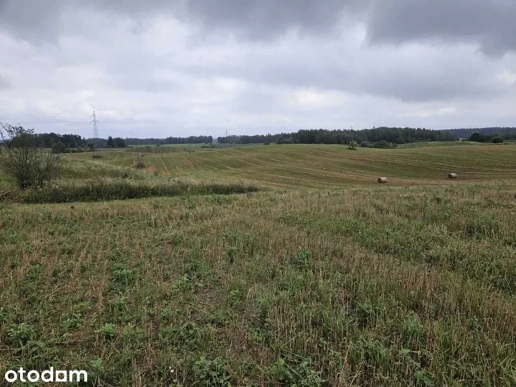 Grunty Mikołajki — zdjęcie 2