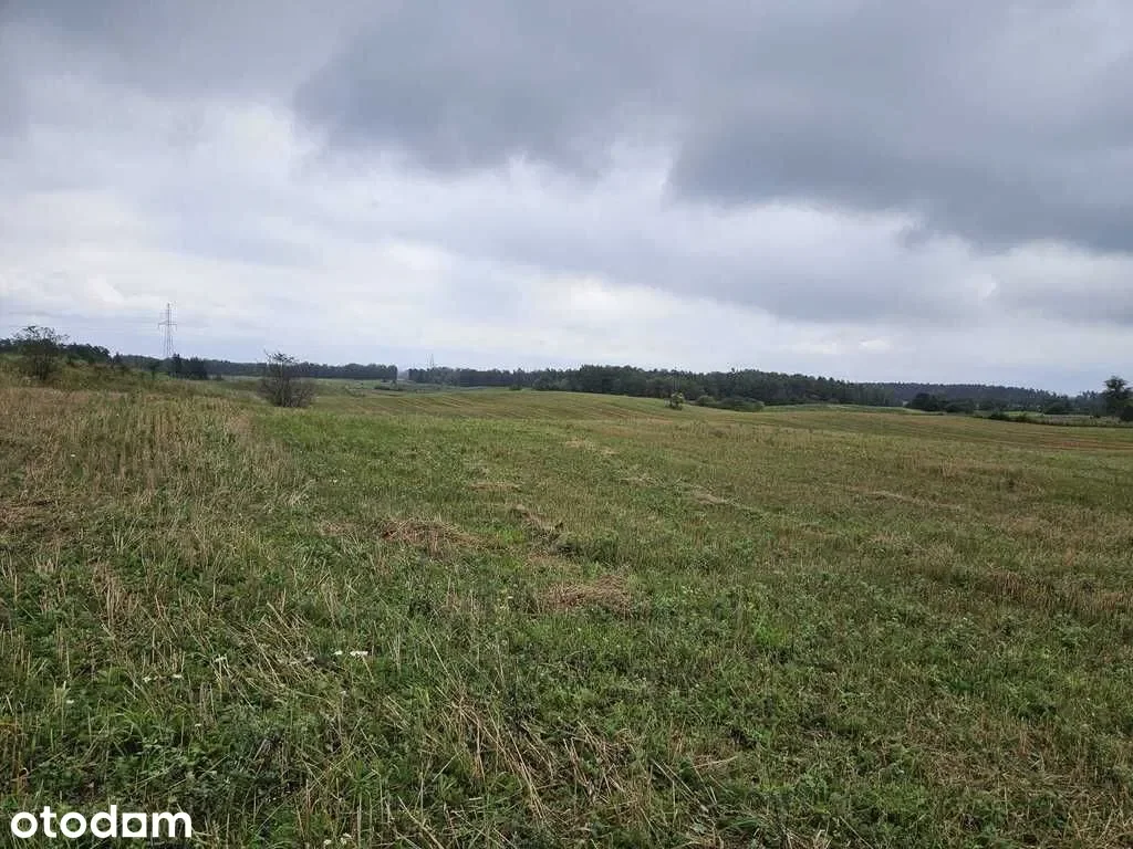 Grunty Mikołajki — zdjęcie 7