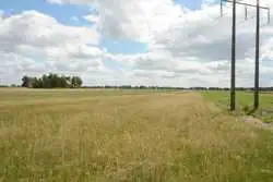 Zdjęcie 1