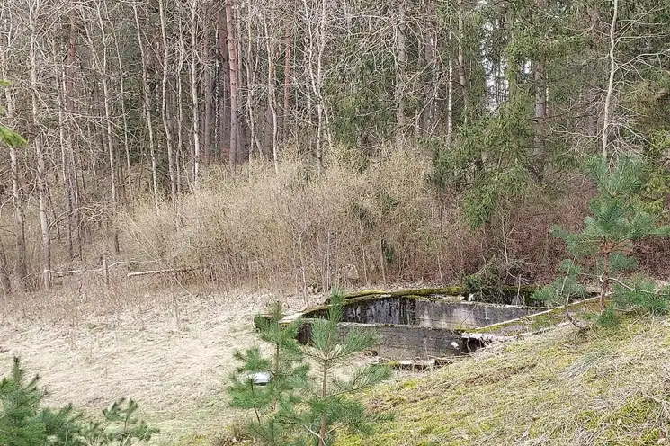 Działki Siemirowice — zdjęcie 3